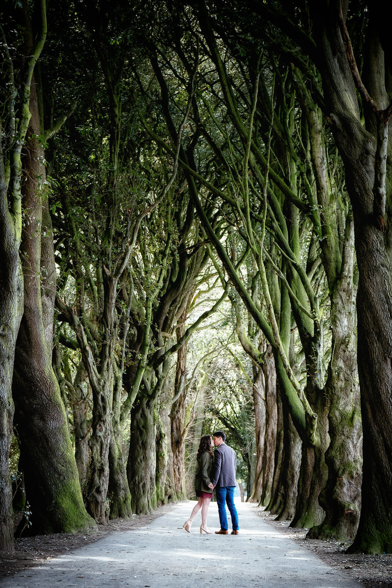 engaged couple walking in dublin park
