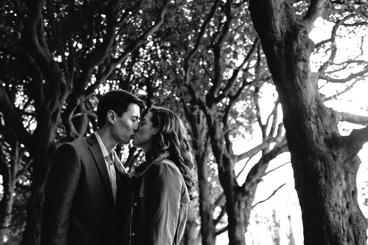 engaged couple kissing in dublin park