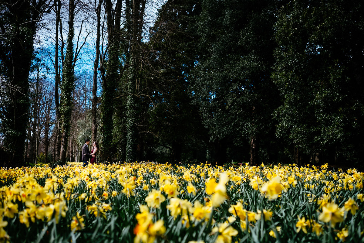 engaged couple walking through flowers in dublin park