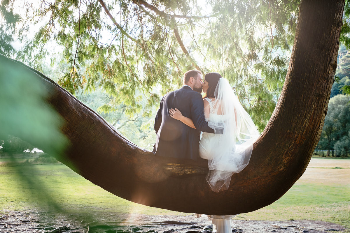 bride and groom sitting on a tree branch
