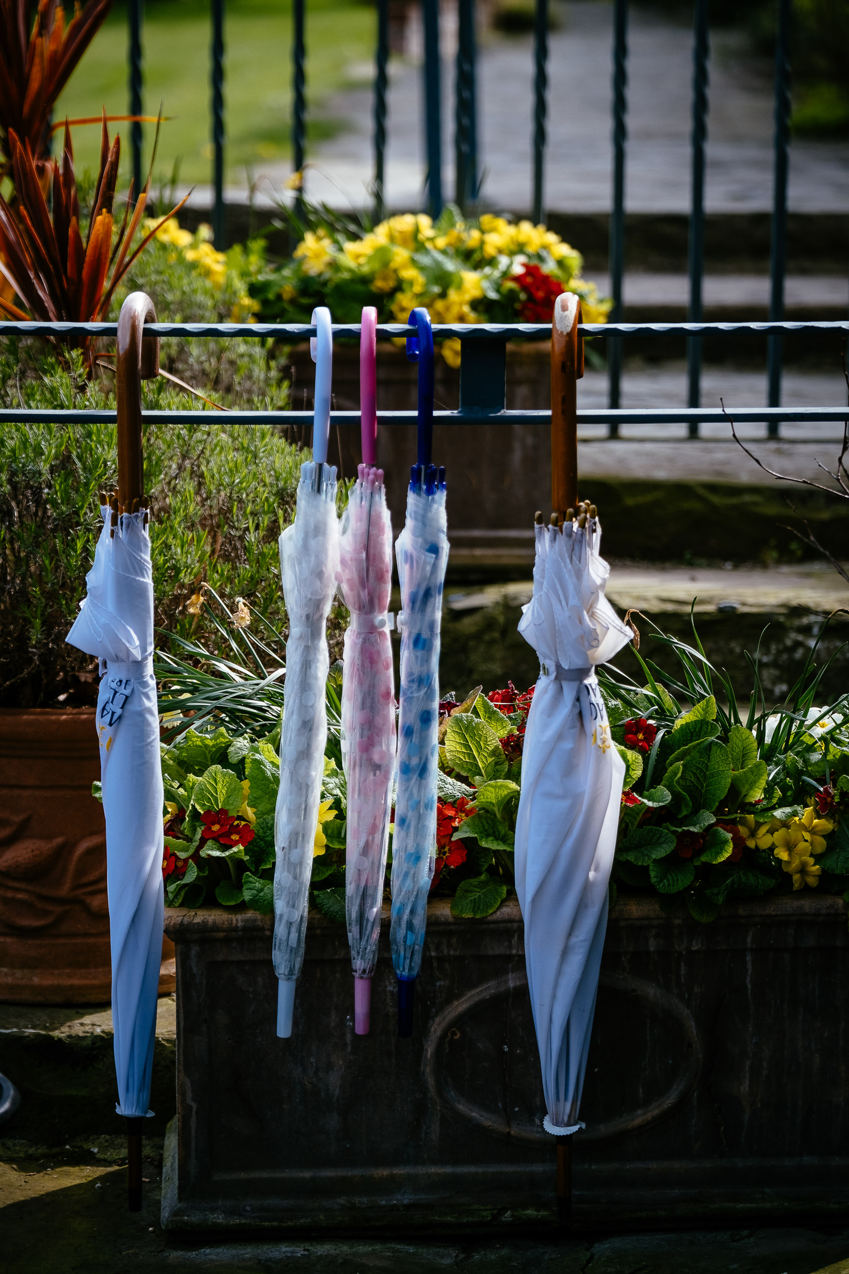 umbrellas hanging on a railing