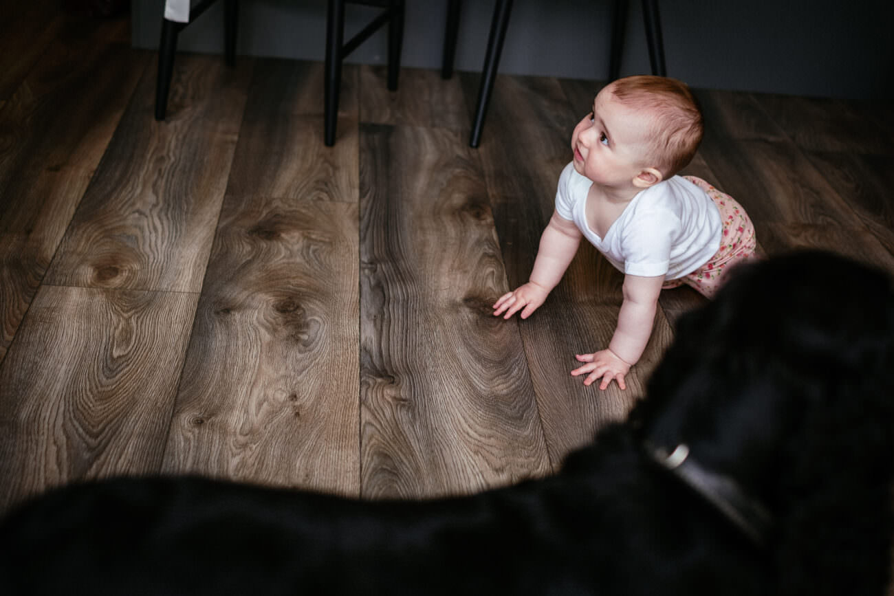 1 Beautiful Intimate Dublin City Wedding 26 1 Beautiful Intimate Dublin City Wedding 26