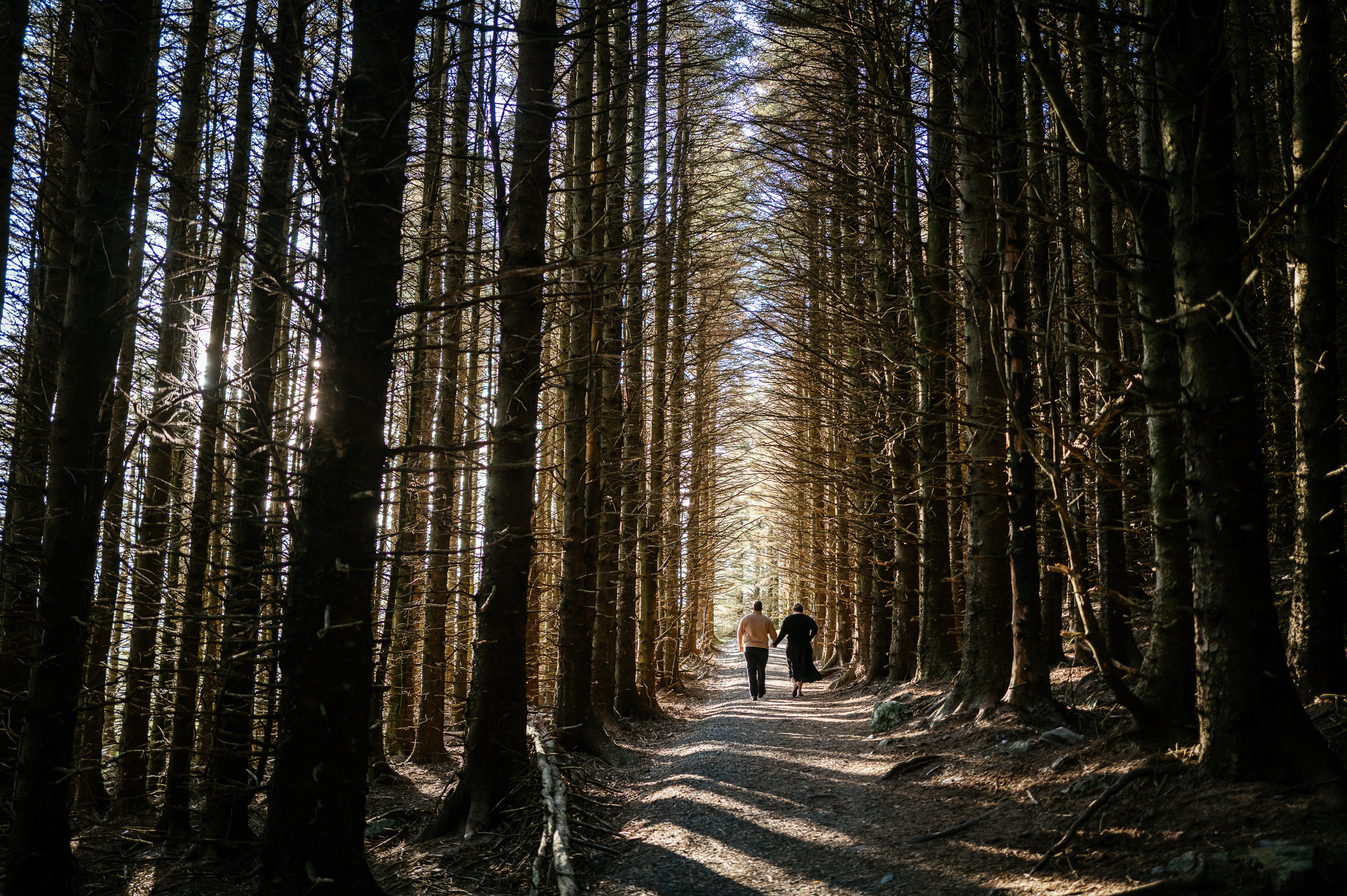 couple walks hand-in-hand through an Irish forest, creating the best engagement photography Ireland has to offer.