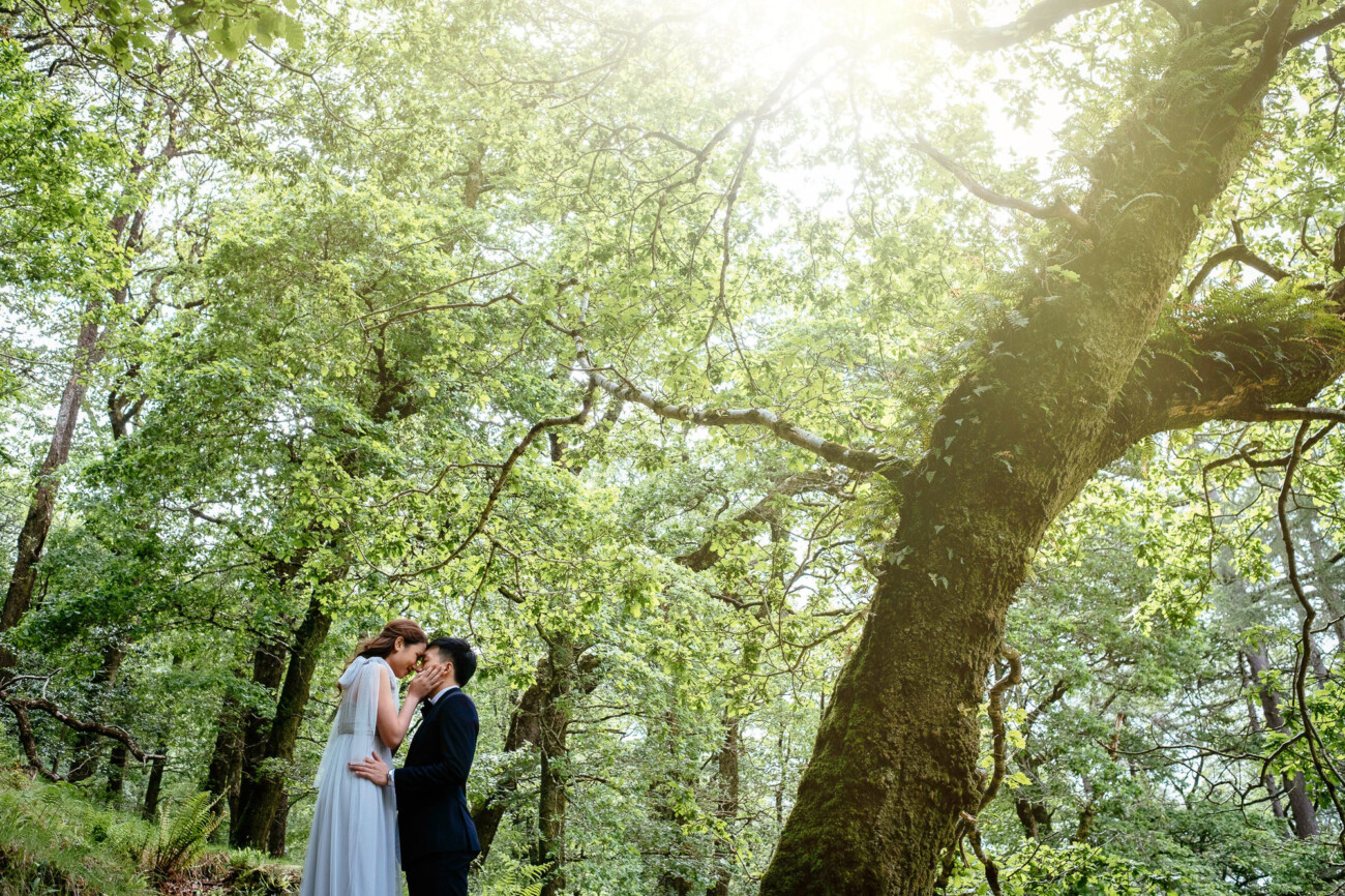 A couple stands close together in a forest, surrounded by tall trees and sunlight streaming through the leaves above—capturing the magic of engagement photos in Ireland.