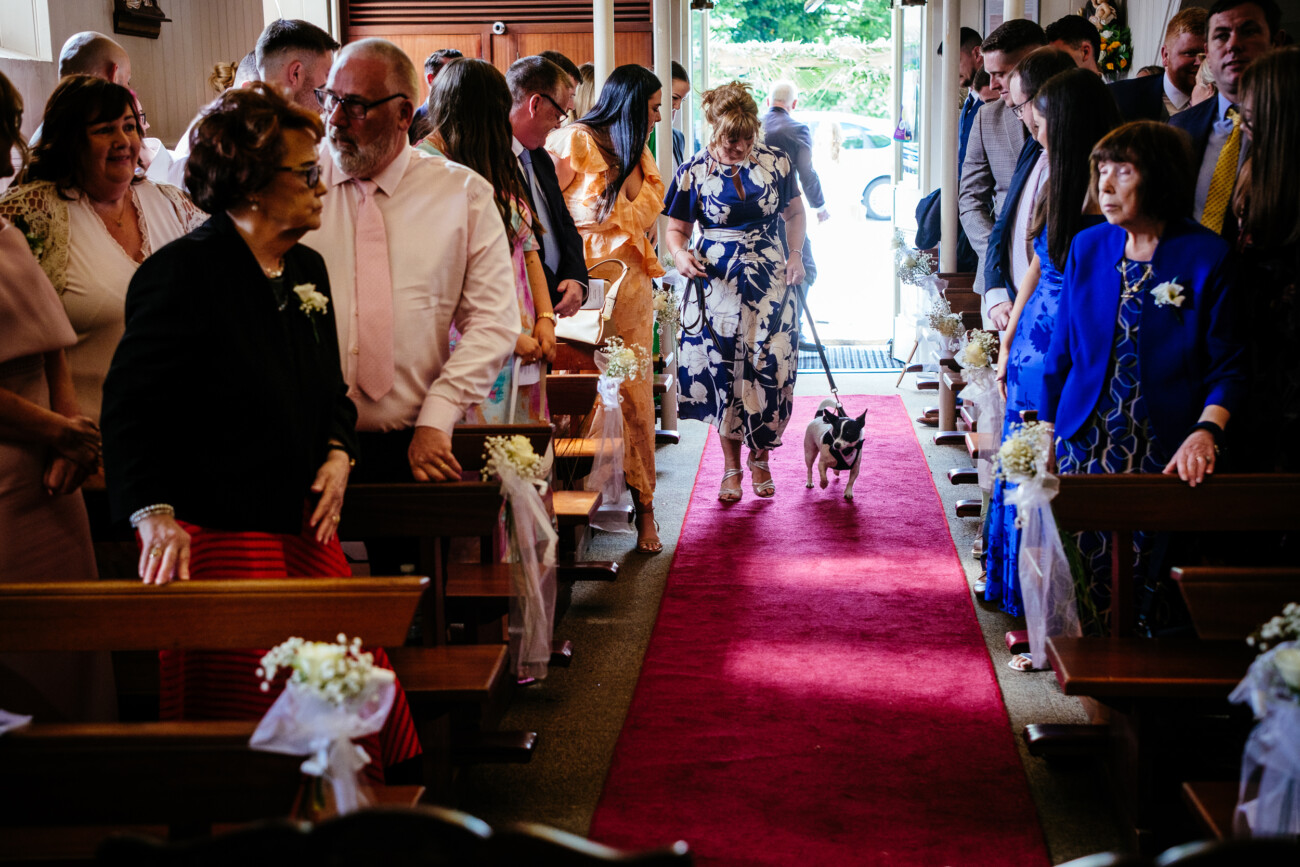Tara and Darren’s Unforgettable Wedding at Bellingham Castle 66 A woman in a blue and white dress walks a dog down the red aisle of a church during a wedding at Bellingham Castle, as guests seated on benches watch.