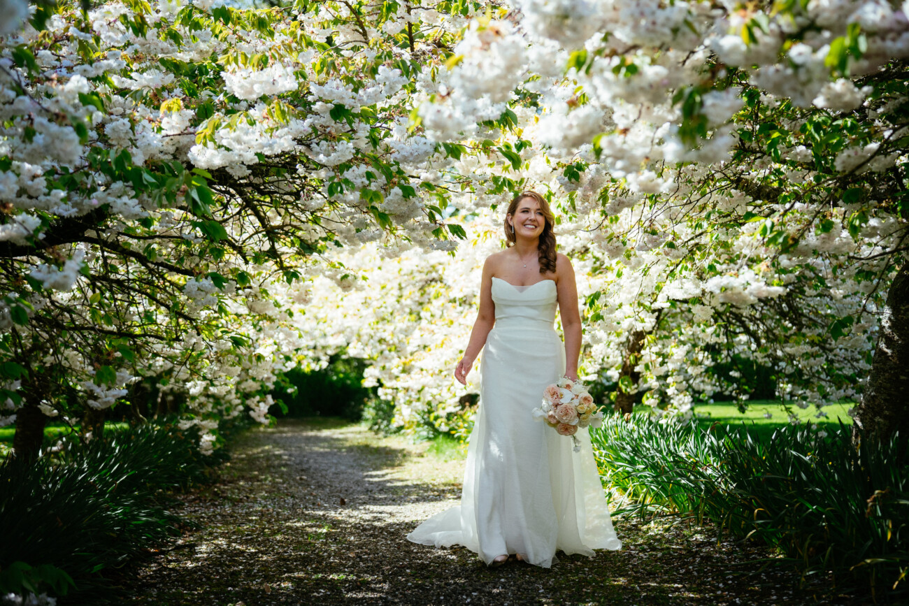 A bride in a white dress holds a bouquet and stands on a garden path surrounded by blossoming trees with white flowers, capturing the timeless elegance of Castle Durrow Wedding Photography.